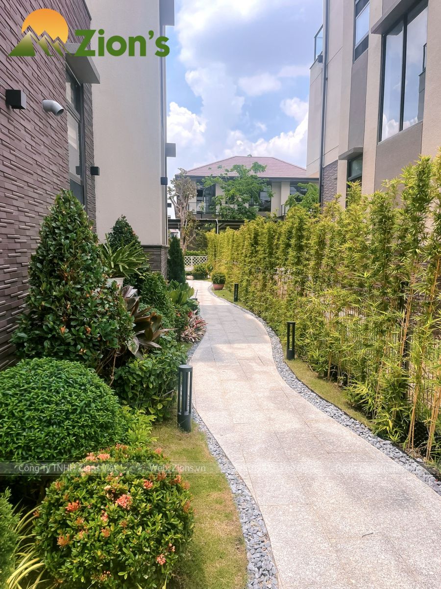 ý tưởng thiết kế vườn bên hông nhà 